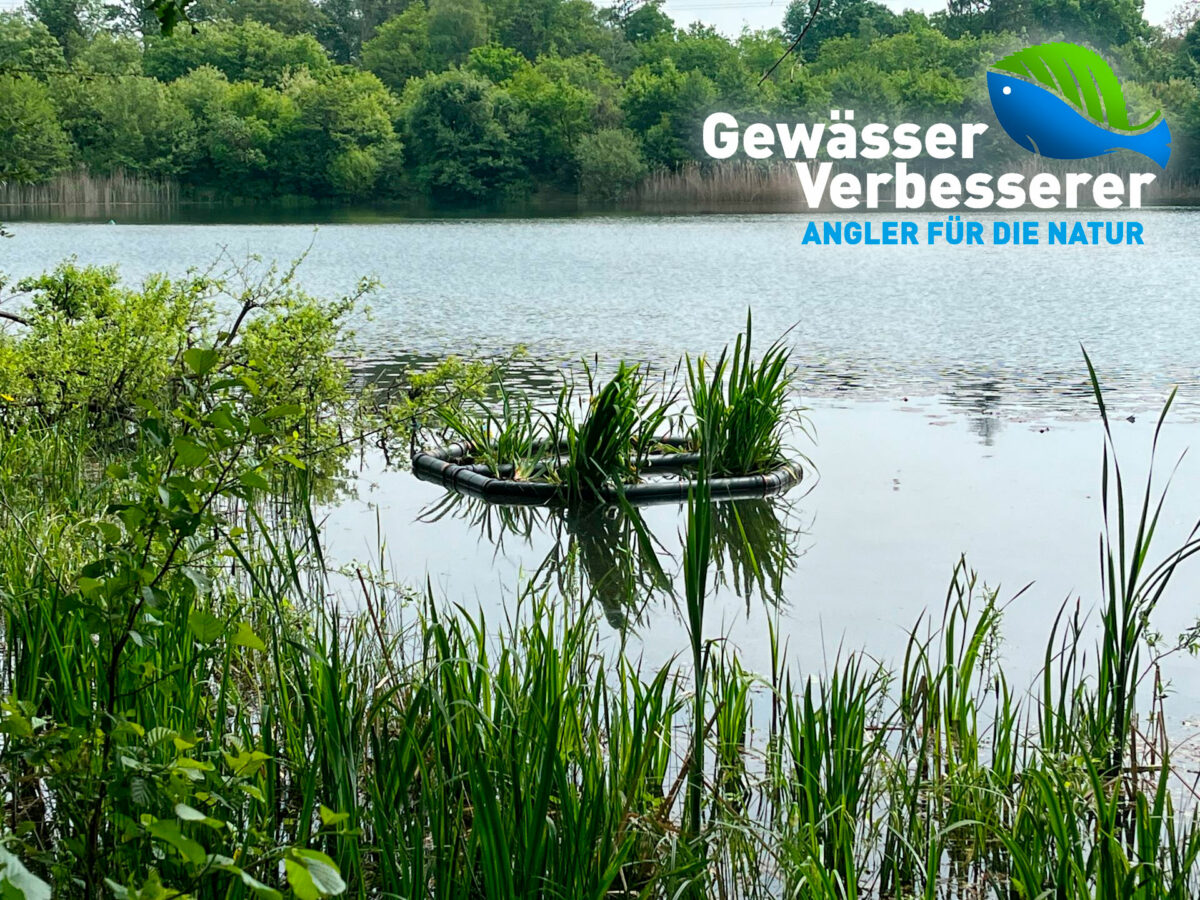 Gesundheitsberufe Hamburg
