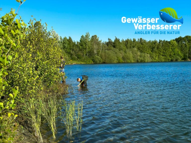 Der Angelsportverein Humbert e.V. ist Gewässer-Verbesserer im Mai 2023