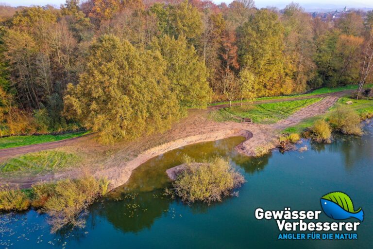 Der Anglerverein Wagshurst „Petri Heil“ e.V. ist Gewässer-Verbesserer im Februar 2025