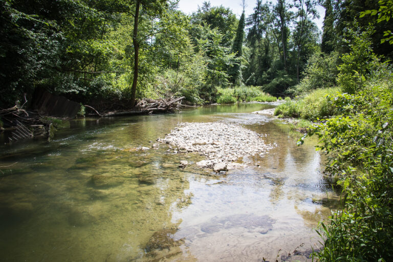 Ausschreibung der Flusslandschaft der Jahre 2026/2027