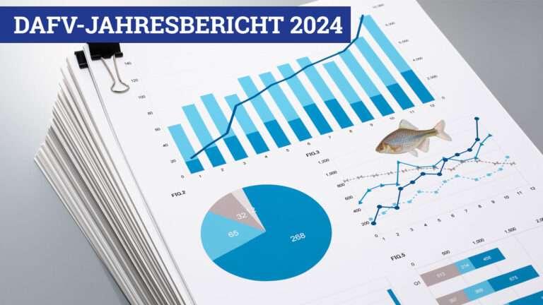 DAFV-Jahresbericht 2024 – Fortschritt mit Weitblick und Verantwortung