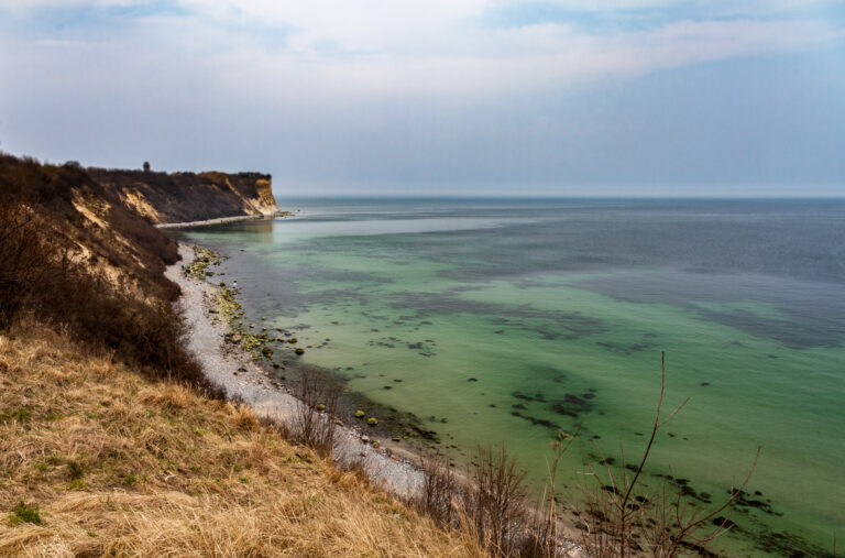 Fangempfehlung für den Lachs in der Ostsee – ICES veröffentlicht Quotenempfehlung für 2026