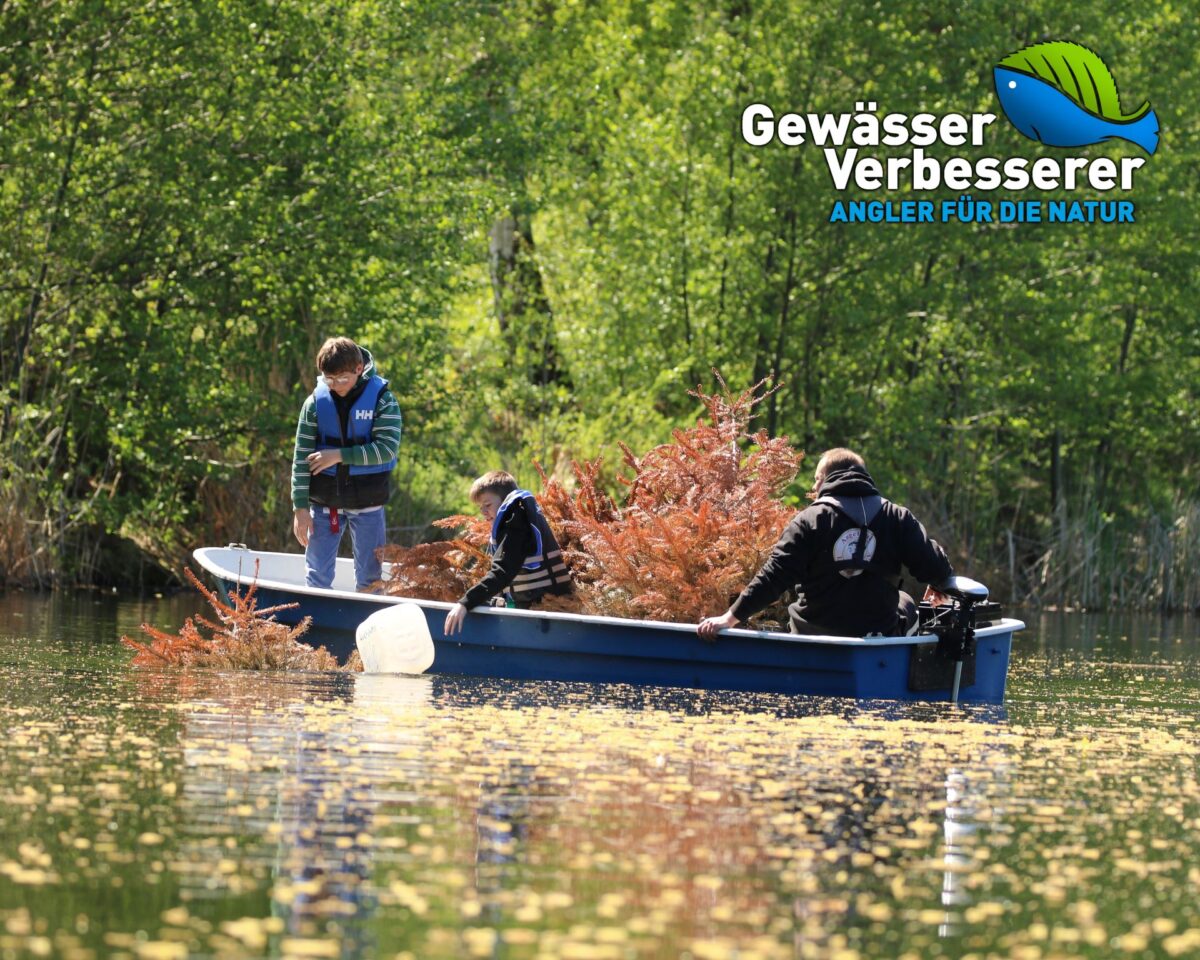 Gesundheitsberufe Hamburg