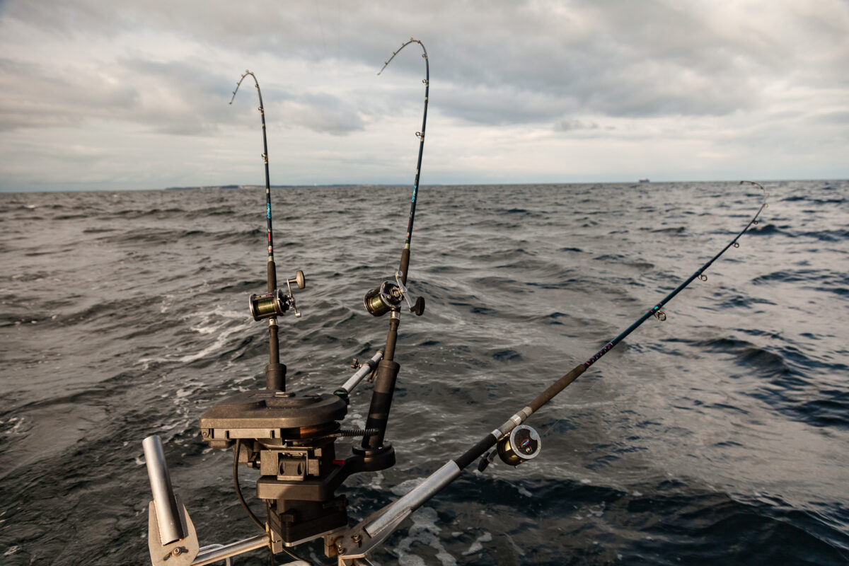 Gesundheitsberufe Hamburg