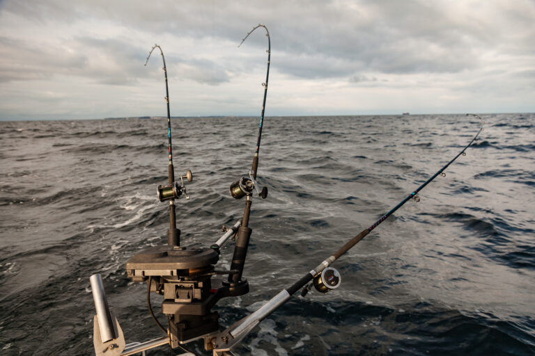 Ostsee: Angler können im Jahr 2026 weiterhin einen Lachs pro Tag entnehmen, Fangverbot für Dorsch bleibt bestehen