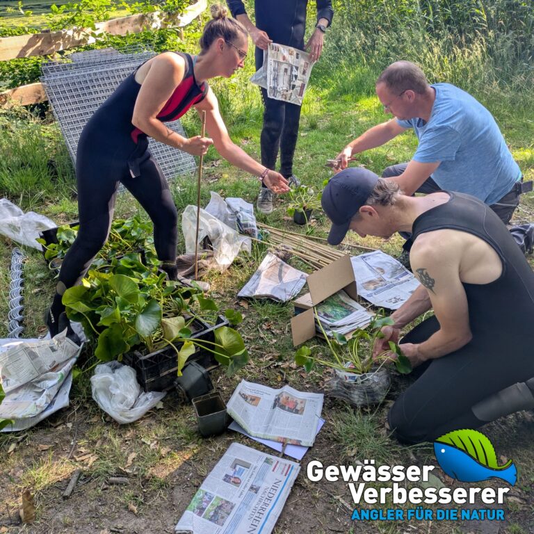Der Angelsportverein Humbert e.V. ist Gewässer-Verbesserer im September 2025