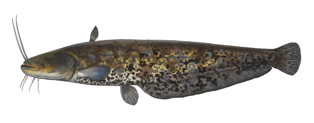 Gesundheitsberufe Hamburg