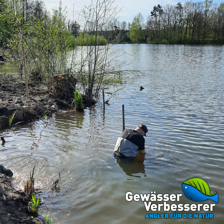 Der SFV Rheda-Gütersloh e.V. ist Gewässer-Verbesserer im Oktober 2025