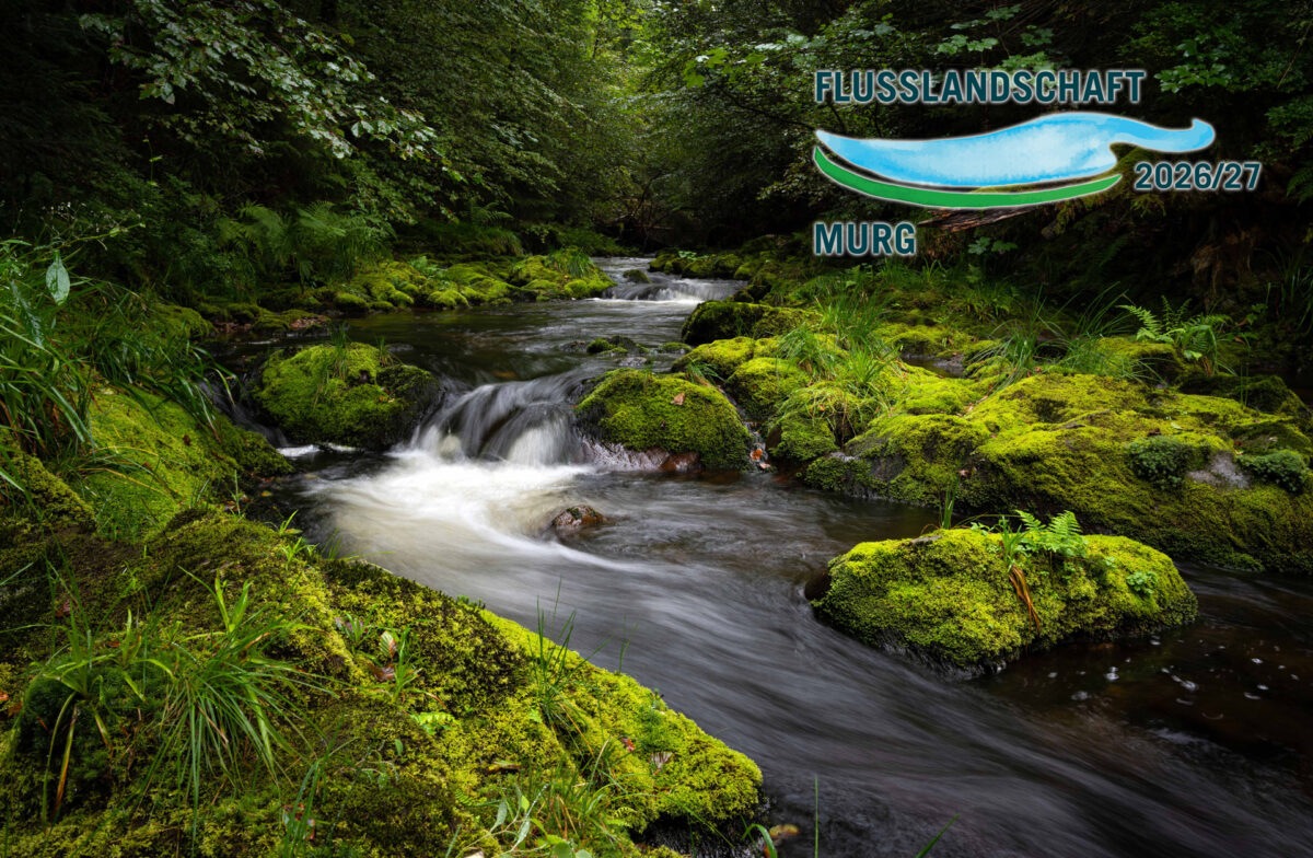 Gesundheitsberufe Hamburg