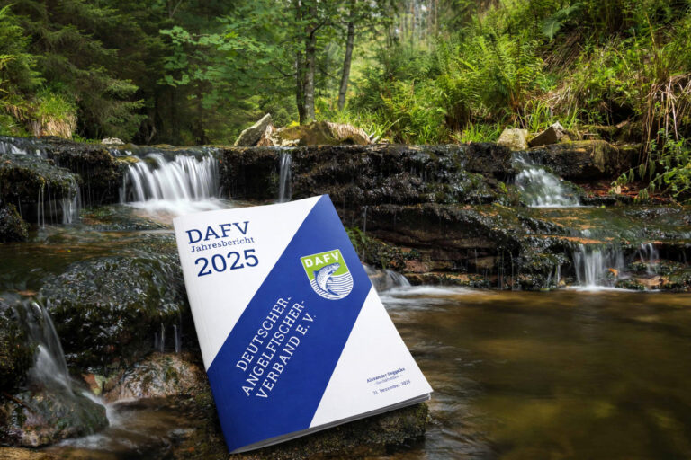 DAFV-Jahresbericht 2025