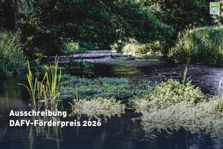 Ausschreibung DAFV Förderpreis 2026