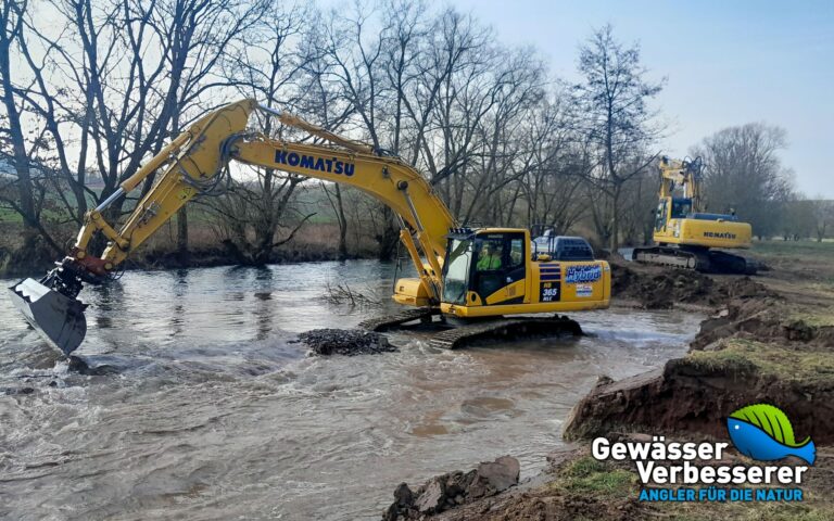 Gewässer-Verbesserer des Jahres 2025