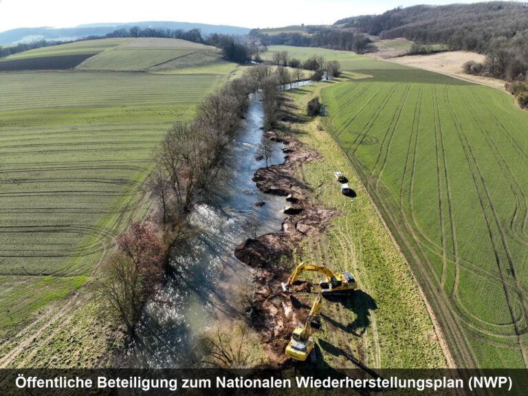 Beteiligungsprozess zum Nationalen Wiederherstellungsplan gestartet – Jetzt sind auch Anglerinnen und Angler gefragt