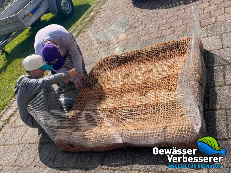 Der AV Wasserrose Spachbrücken 1968 e.V. ist Gewässer-Verbesserer im März 2026