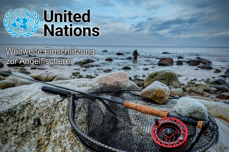 Die Vereinten Nationen (UN) veröffentlicht erstmals eine weltweite Einschätzung zur Angelfischerei